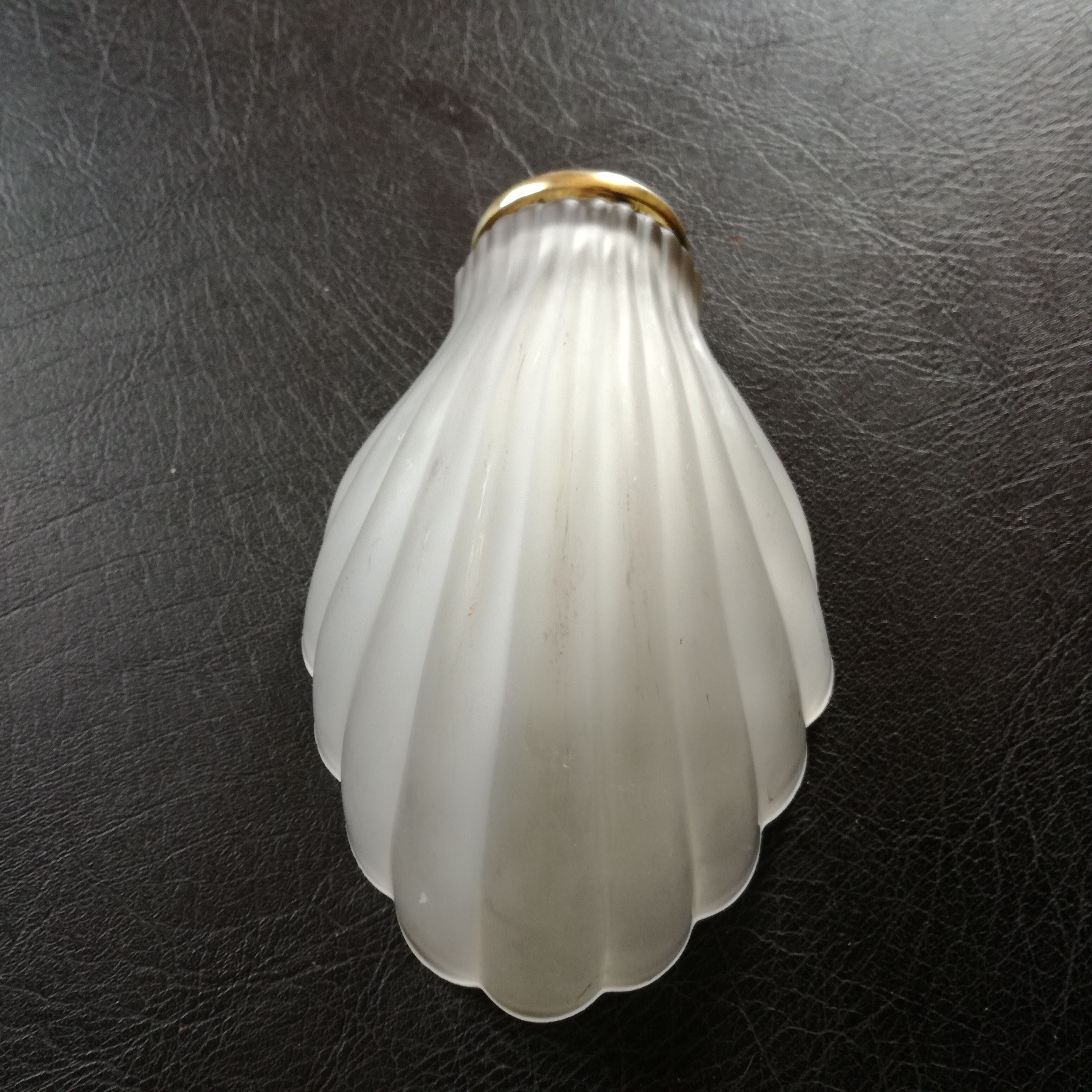 Glass shell sconce