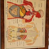 School poster science tables rossignol