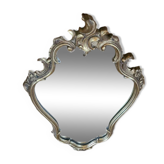 Shell mirror