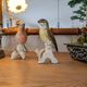 Pair of Karl Ens polychrome porcelain birds from Saxony