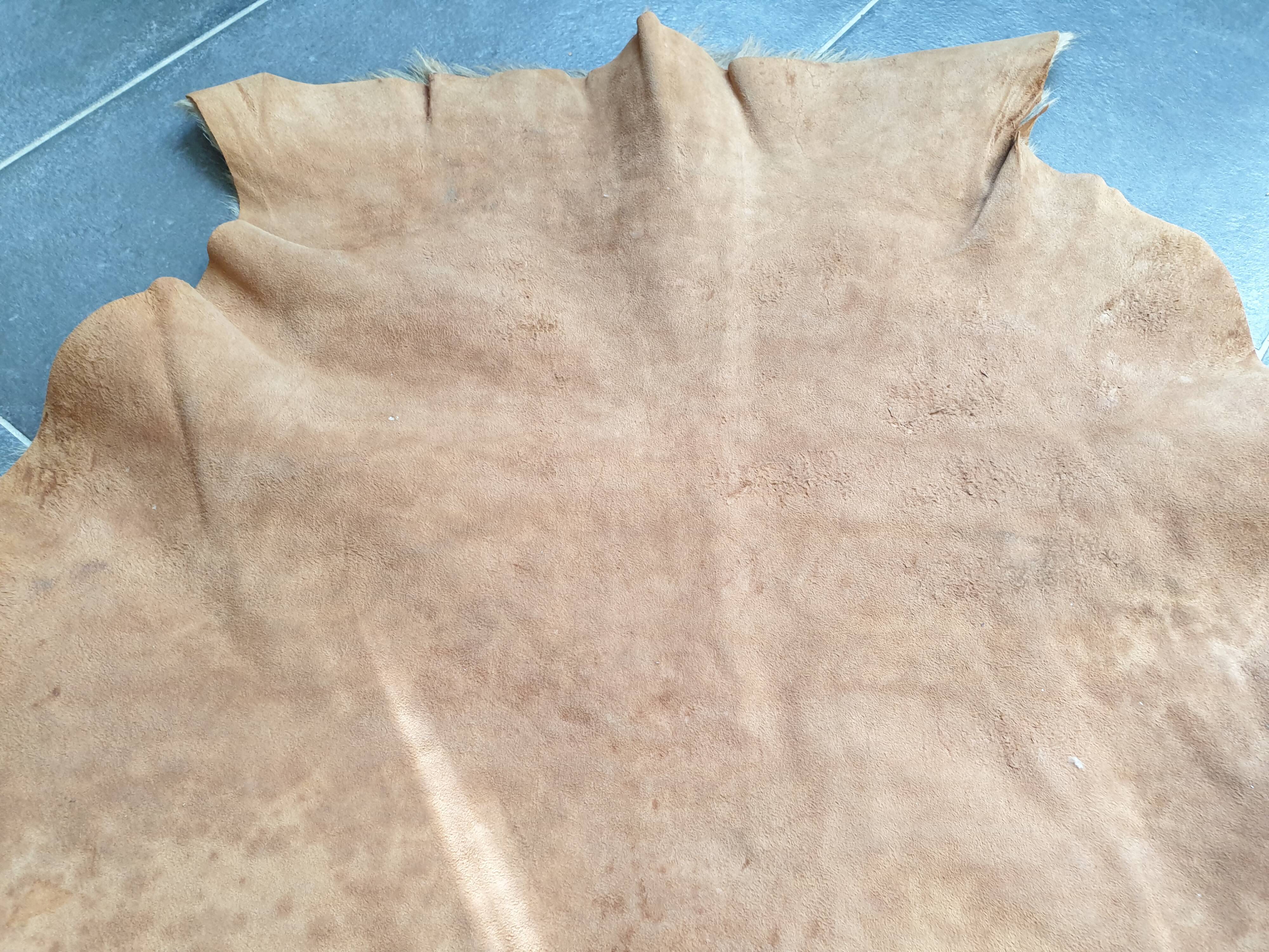 Kangaroo skin