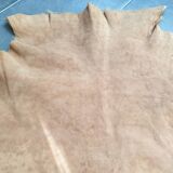 Kangaroo skin