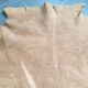 Kangaroo skin