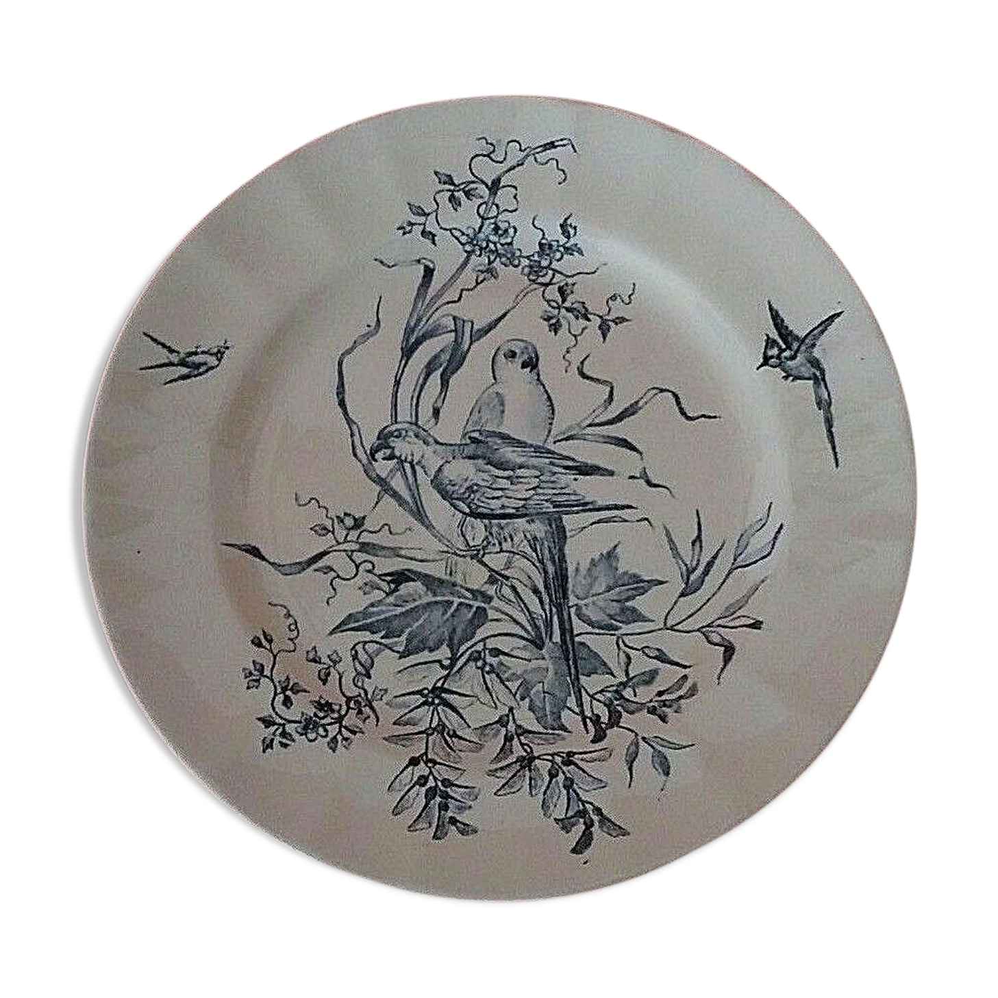 Plate Longchamp Earth model railway scenery parakeets Congo