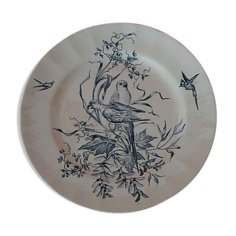 Assiette en faïence Longchamp terre de fer modèle Congo décor perruches