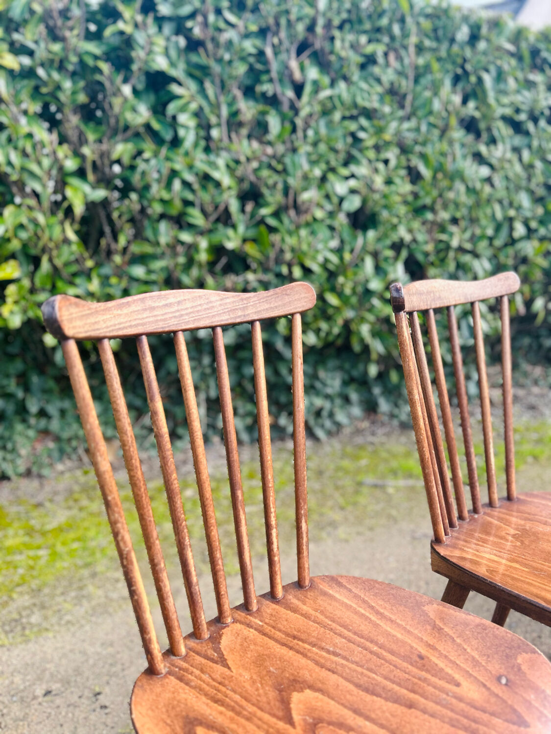 Baumann Minuet chairs