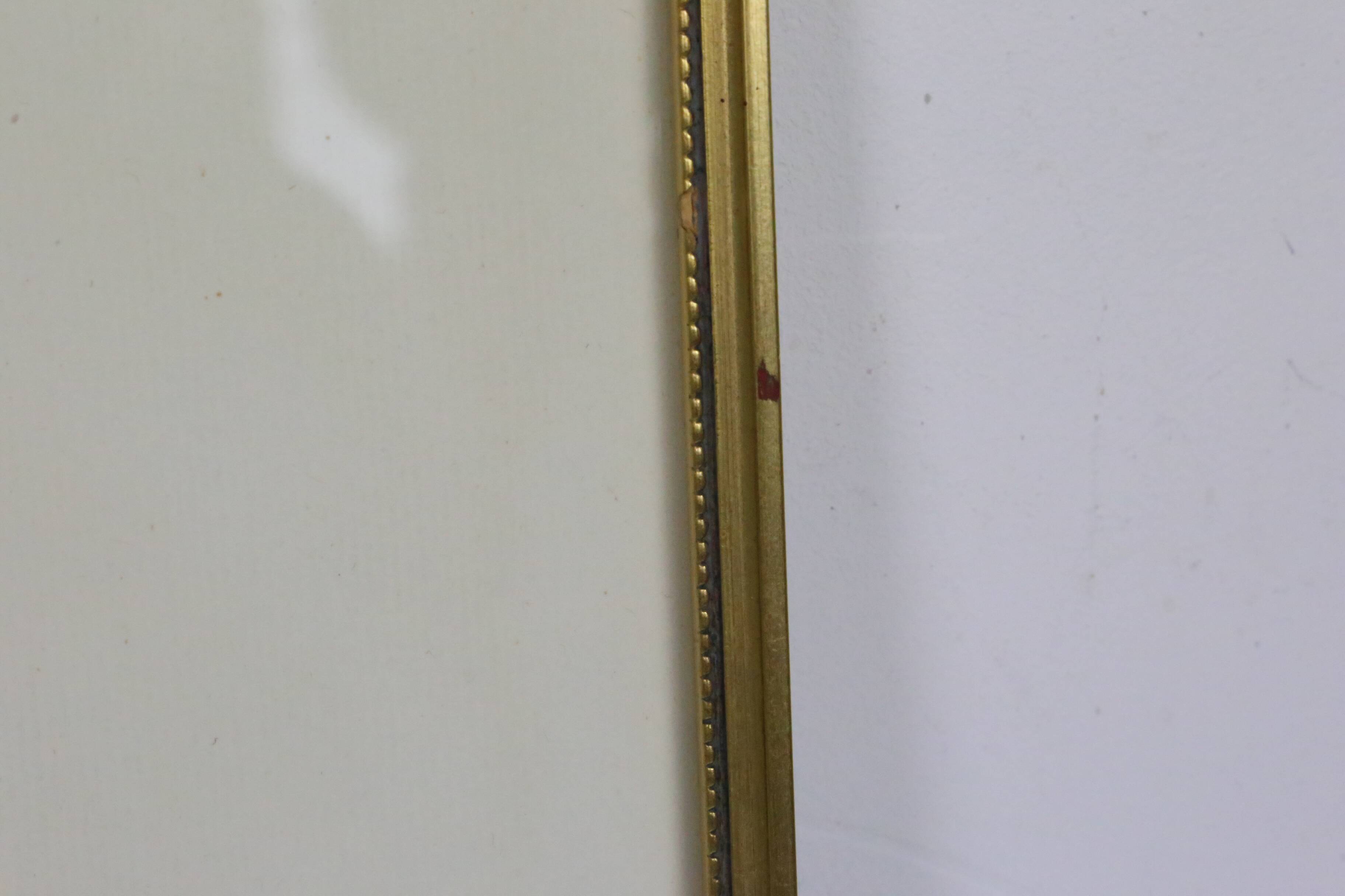 Large framed lithograph by Redouté