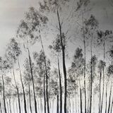 Framed Oil Painting on Canvas by Artist Painter C. M. Ollivierre