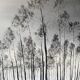 Framed Oil Painting on Canvas by Artist Painter C. M. Ollivierre