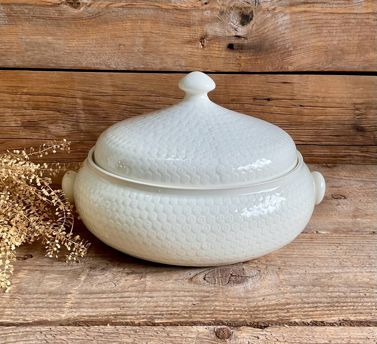 Soup tureen Gien France