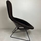Bird Model Armchair by Harry Bertoia for Knoll, 1970s