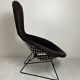 Bird Chair model by Harry Bertoia for Knoll, 1970s