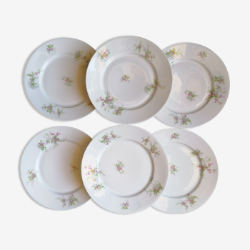6 assiettes plates porcelaine Limoges