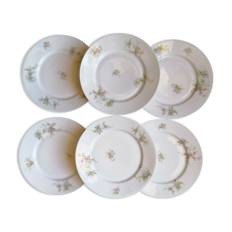 6 flat porcelain plates Limoges