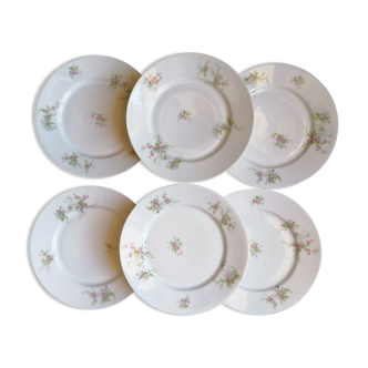 6 assiettes plates porcelaine Limoges