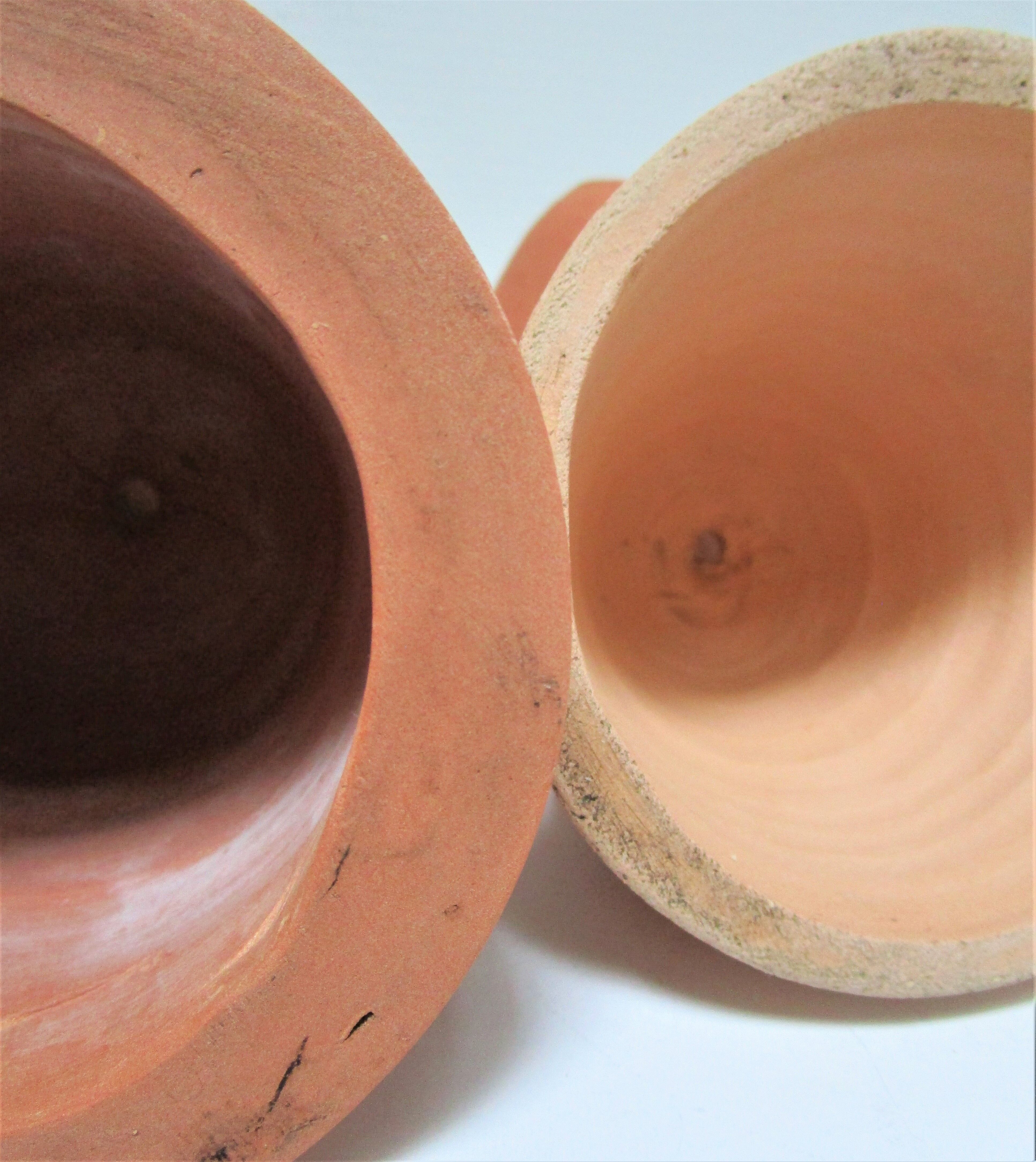 Four bells for seedlings in vintage terracotta