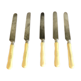 5 ivory handle knives 19 eme
