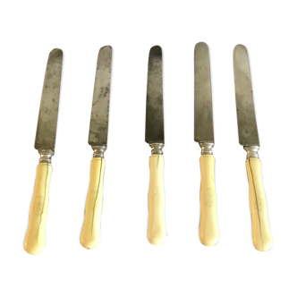 5 ivory handle knives 19 eme