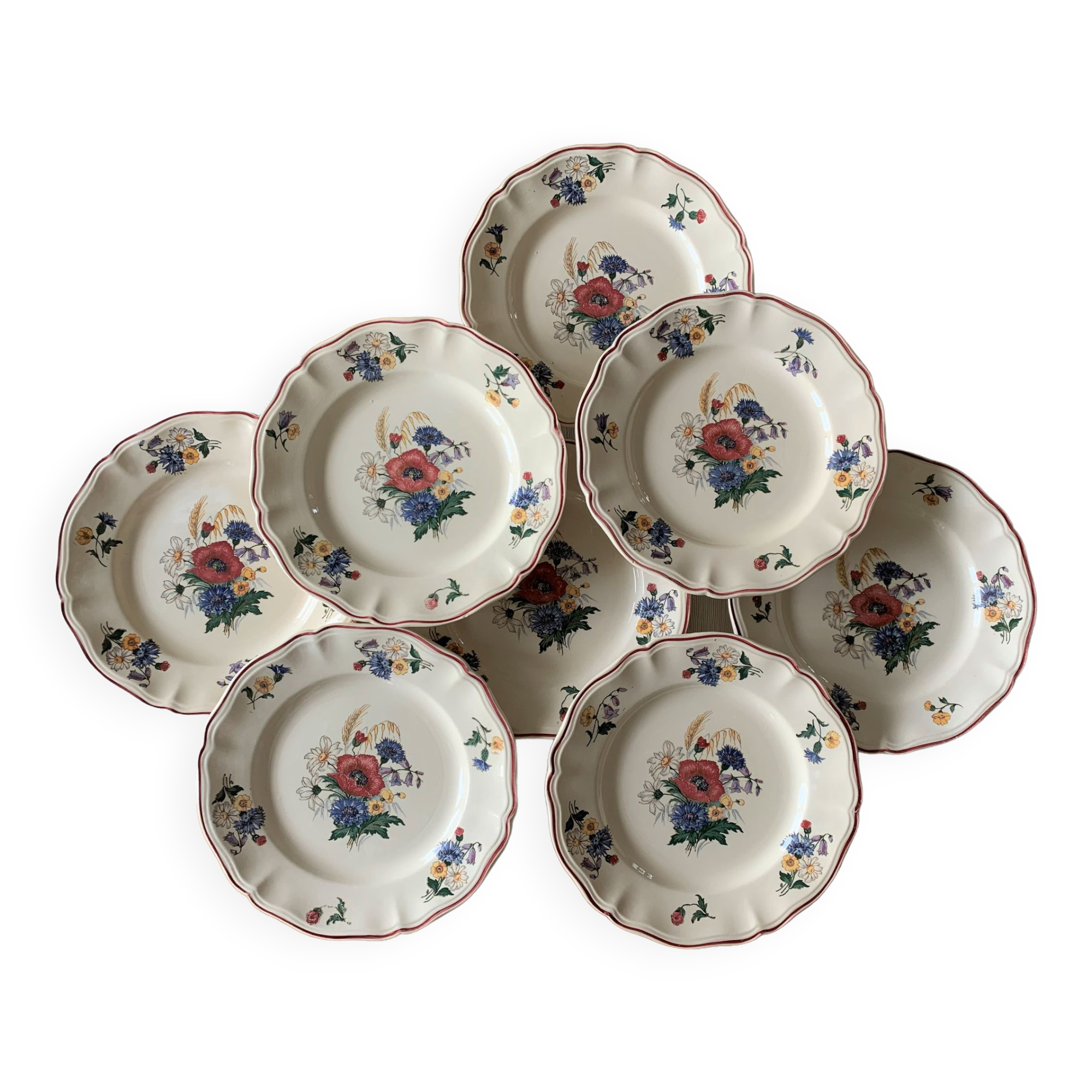 8 old plates in earthenware from Sarreguemines
