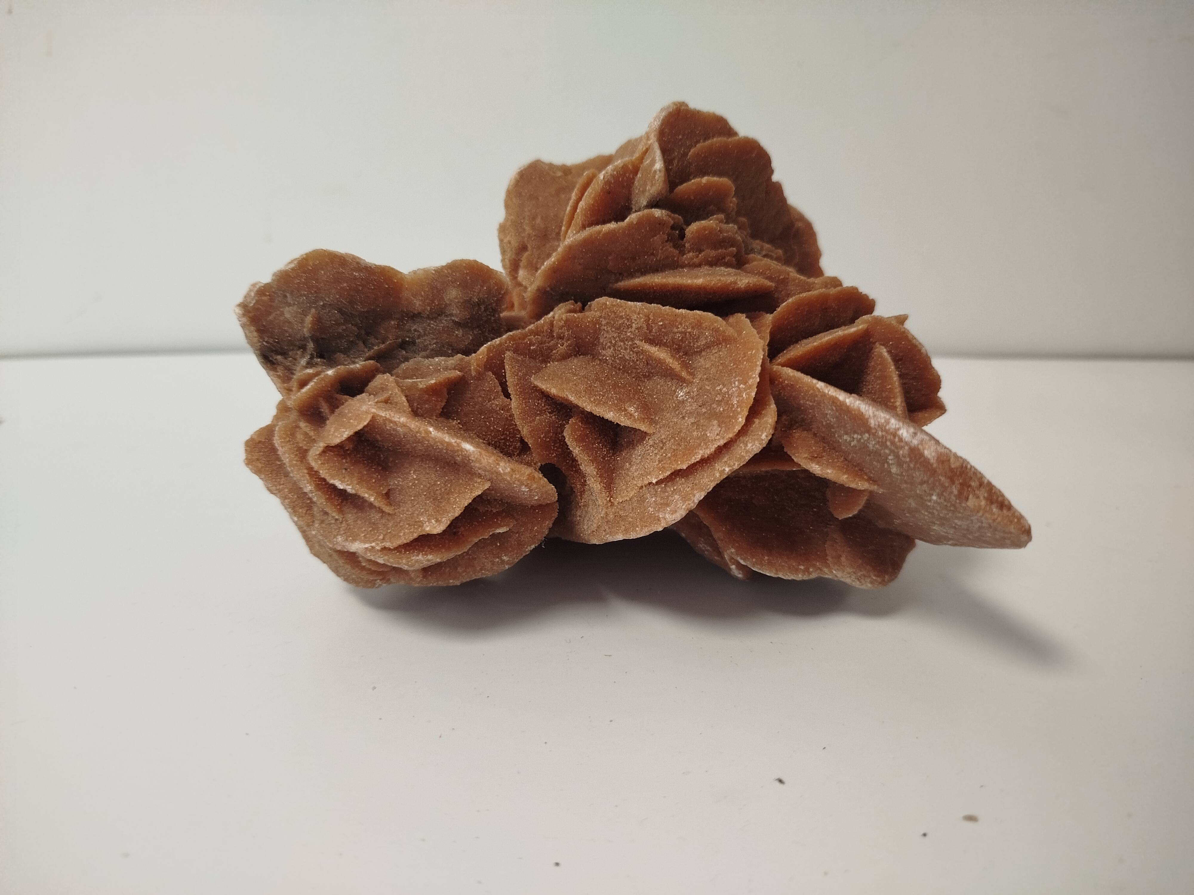 Rose des sables naturelle sculptée par le vent – pièce minérale décorative