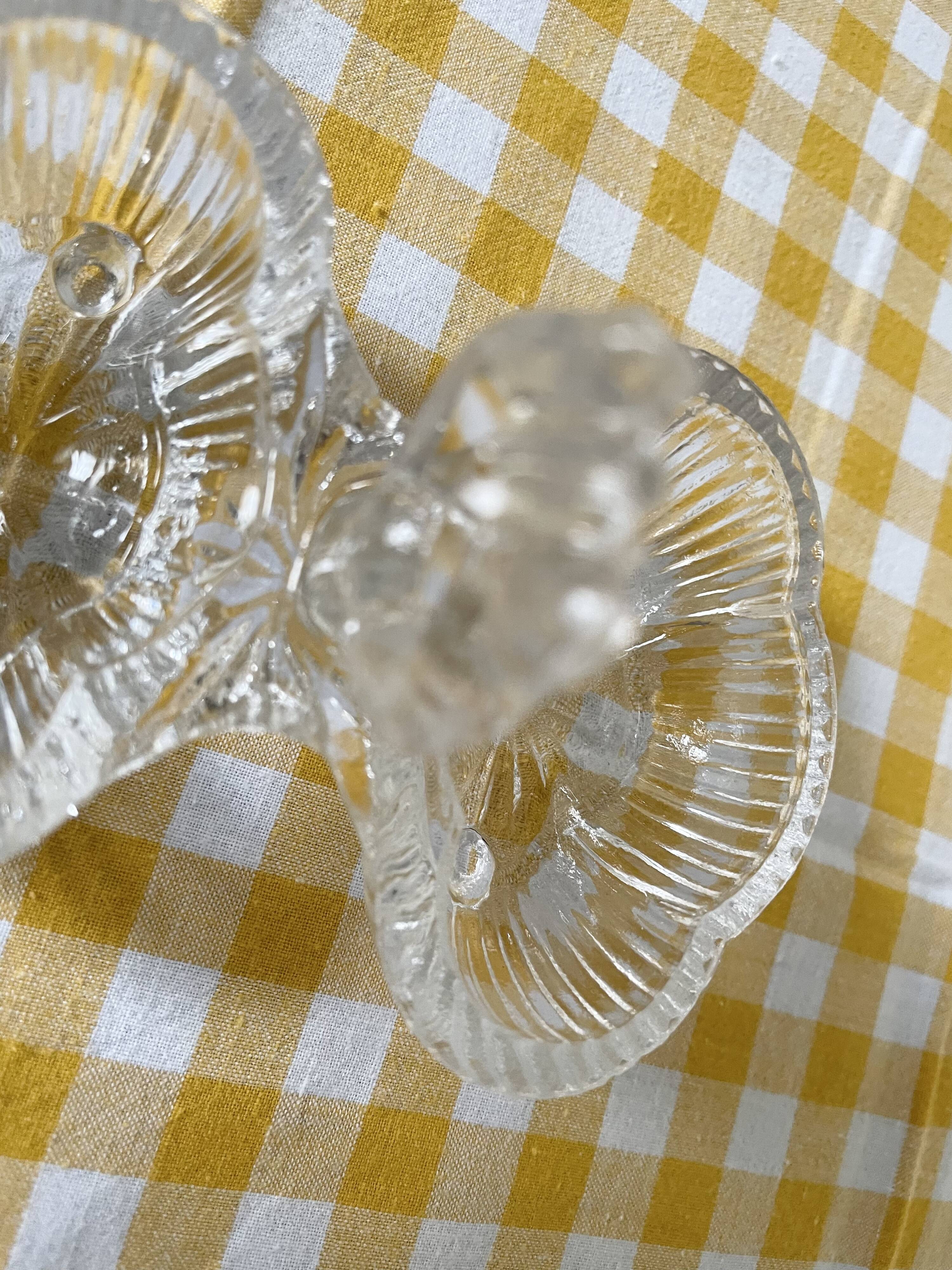 Double transparent molded glass salt shaker