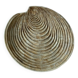Large ceramic shell dish by Dominique Guillot for Vallauris 1960, giant oyster dish