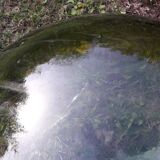 Dame jeanne verte 60l ancienne