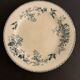 6 old blue flat plates La Samaritane Terre de Fer