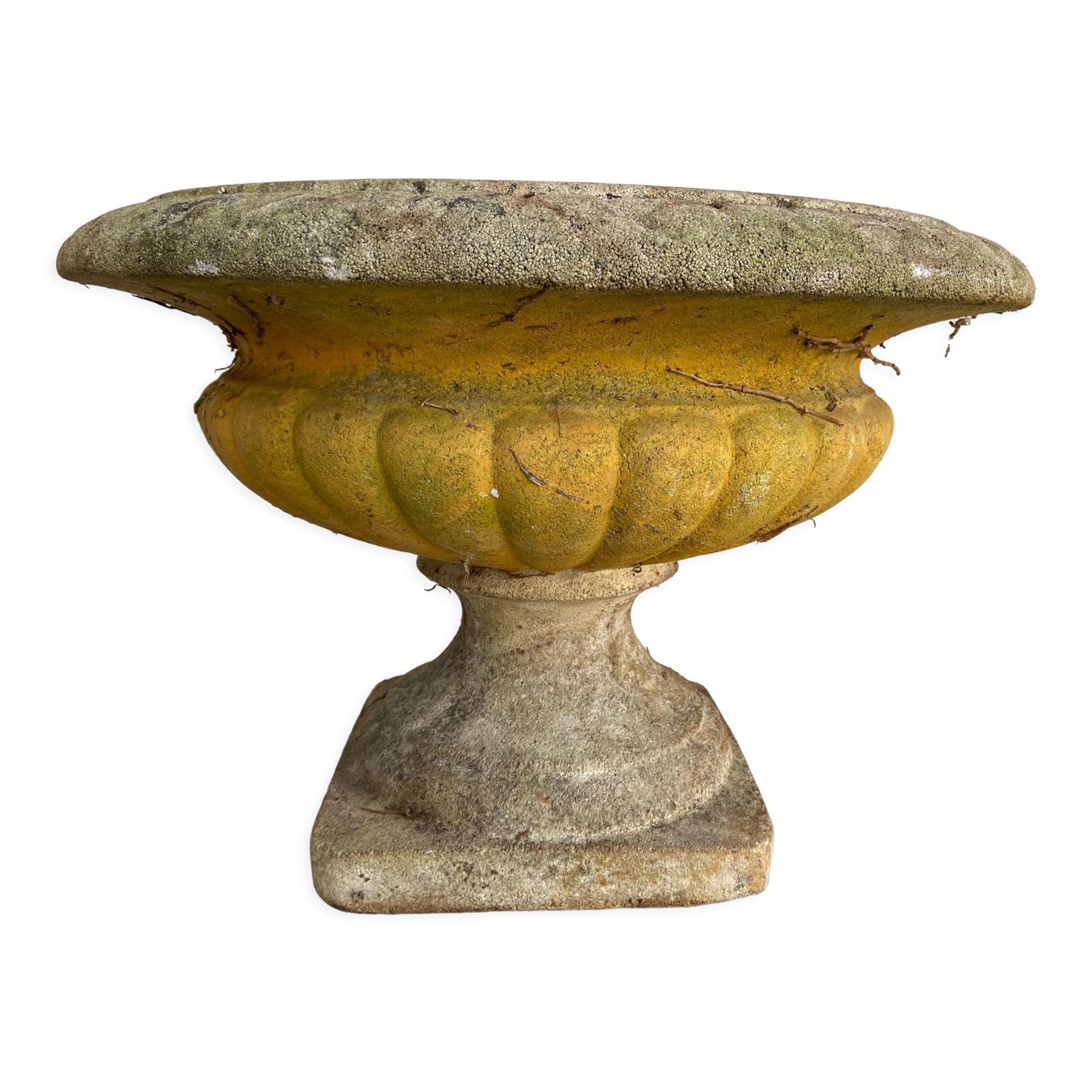 Vintage Medici vase cutter
