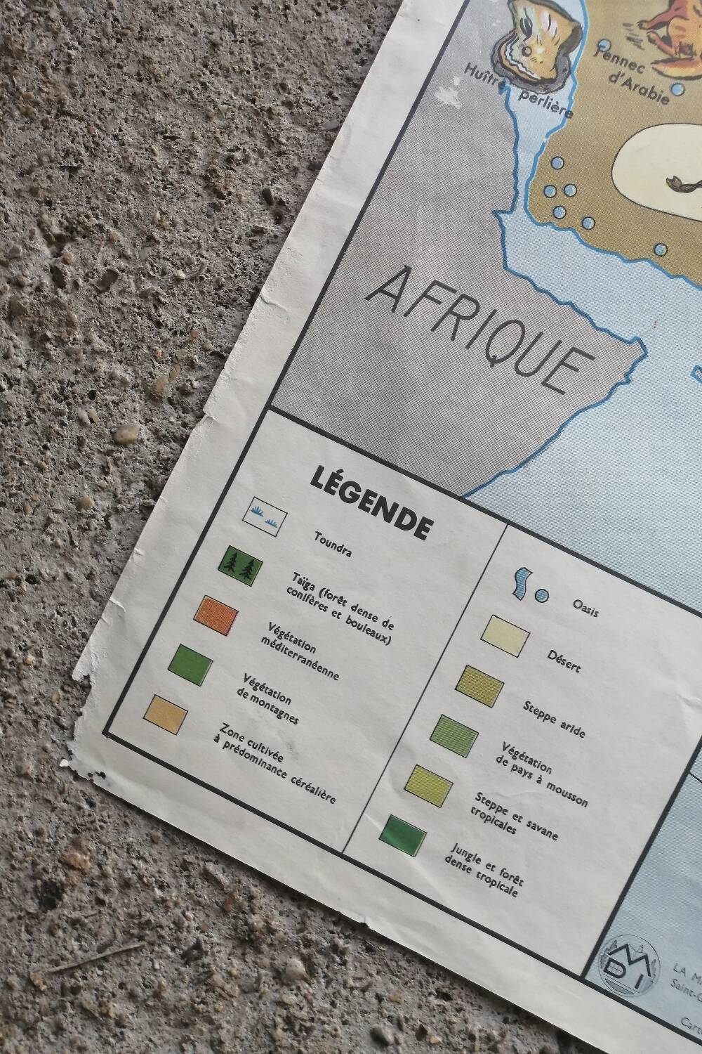 Vintage school map mdi North America-Asia Wildlife