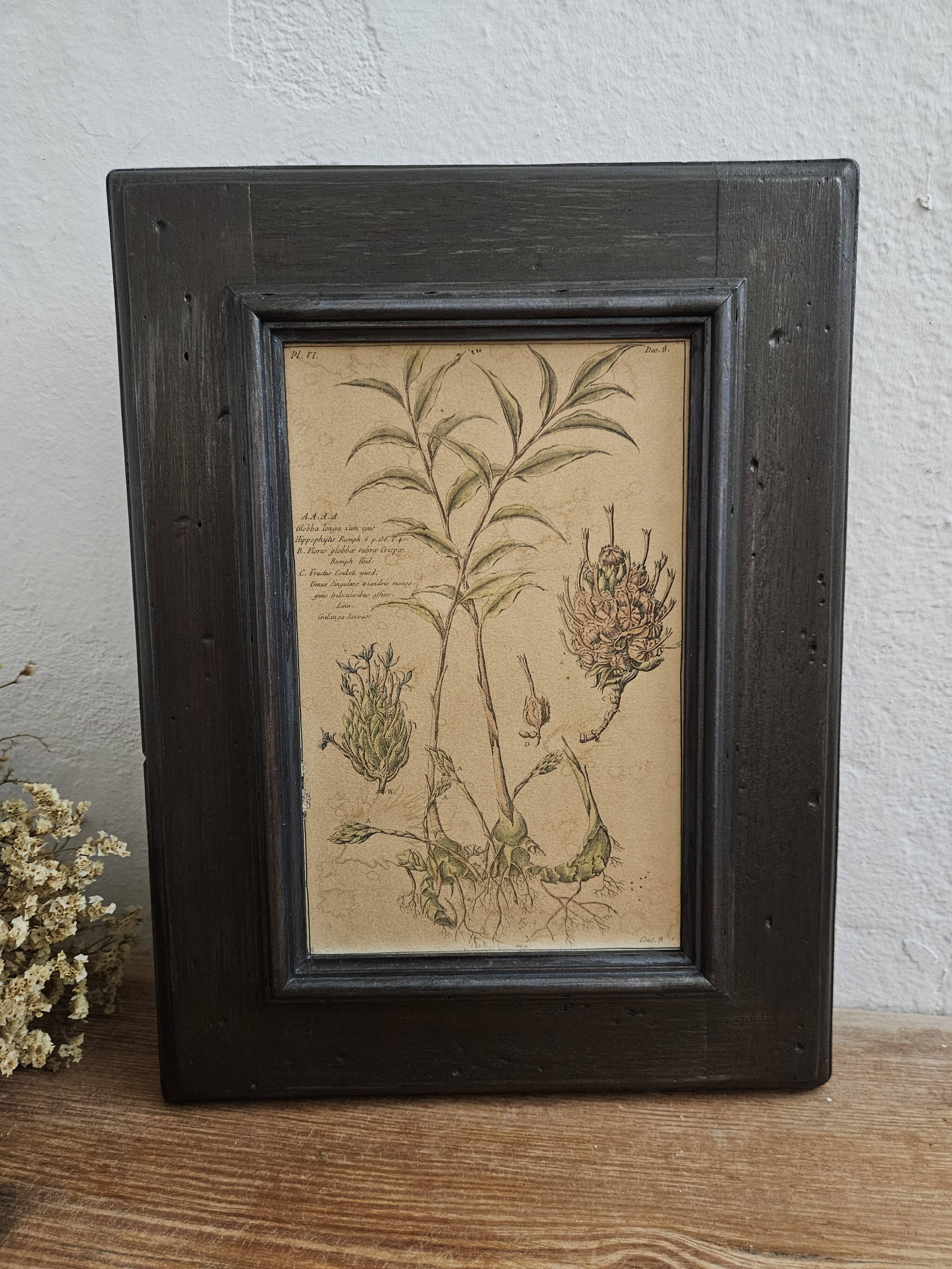Framed Botanical Board Table
