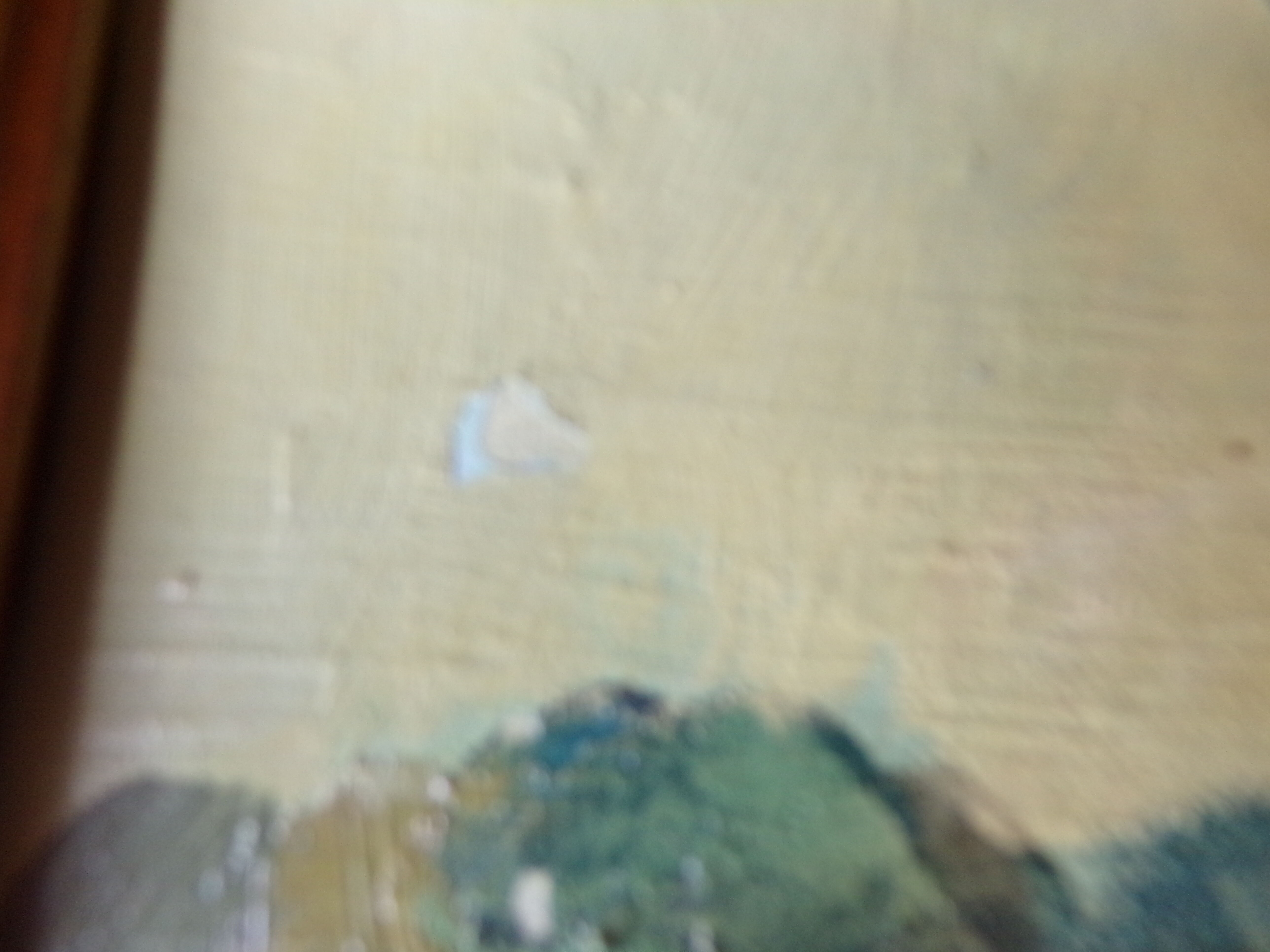Oil painting painting painting signed Sokol 1972
