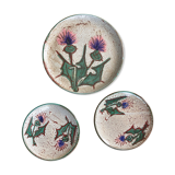Ceramic plates decoration thistles