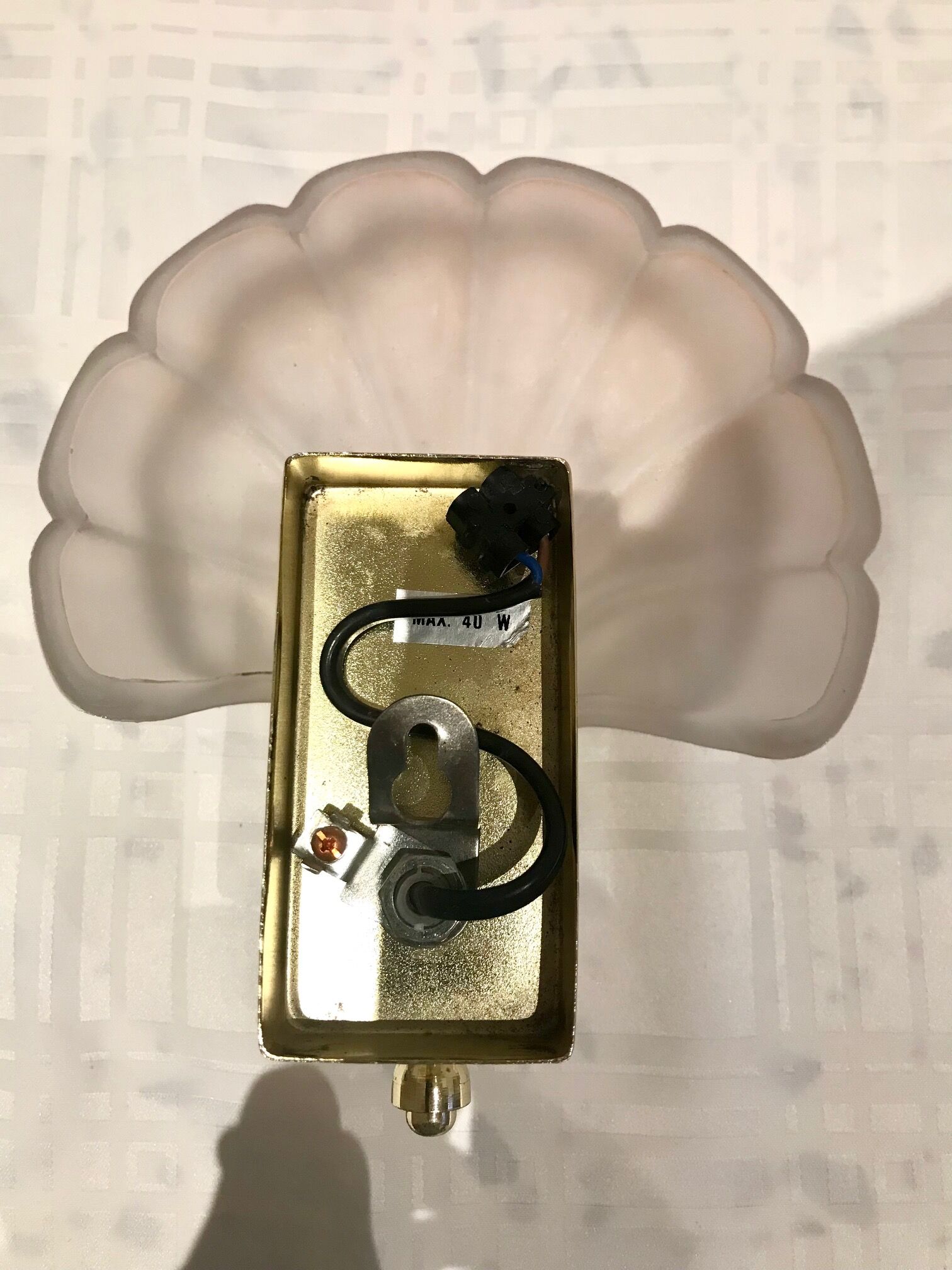 Pair of shell sconces