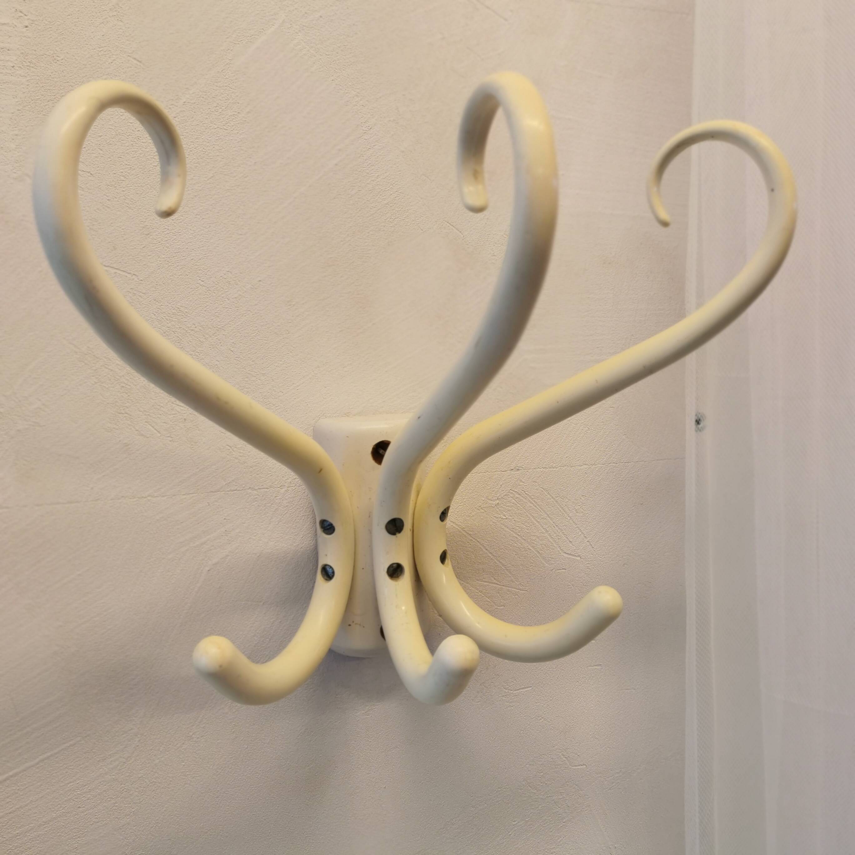 Curved wooden coat hook