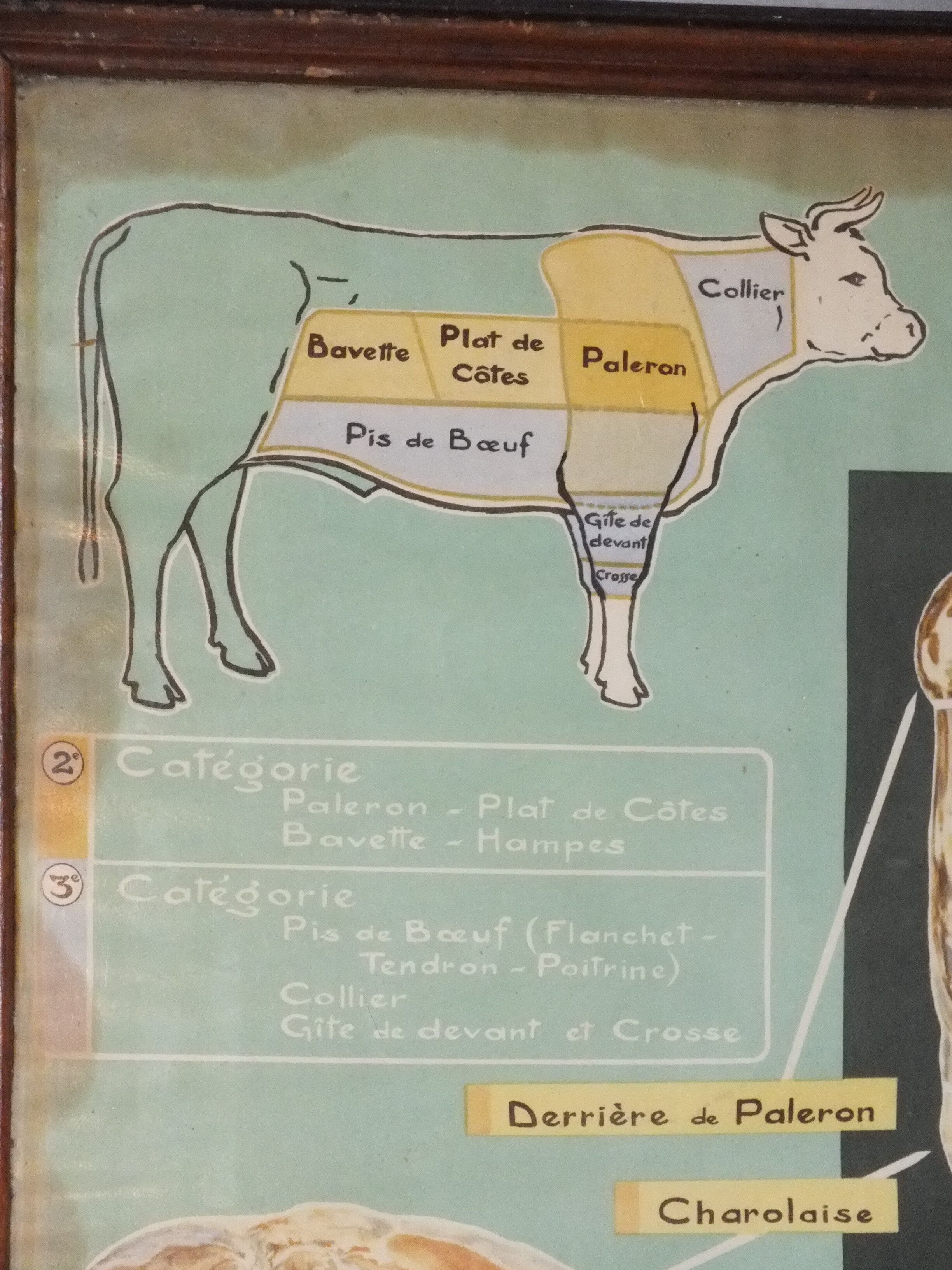 Jacques Lanore's pedagogical poster - Le Boeuf (shoulder)