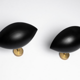 Black shell wall lamp