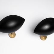 Applique Coquille Noir