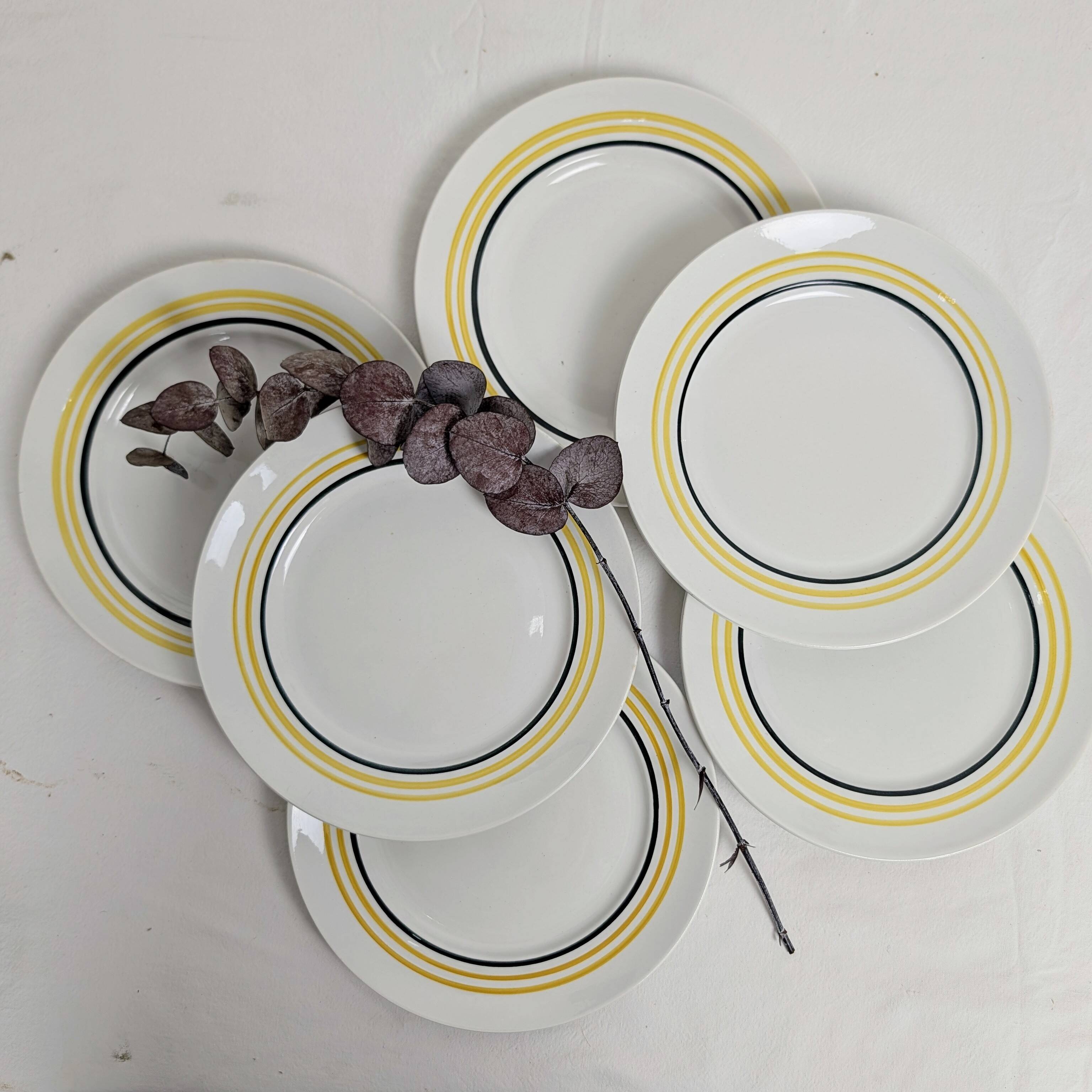 Set of 6 Moulin des Loups Orchies plates