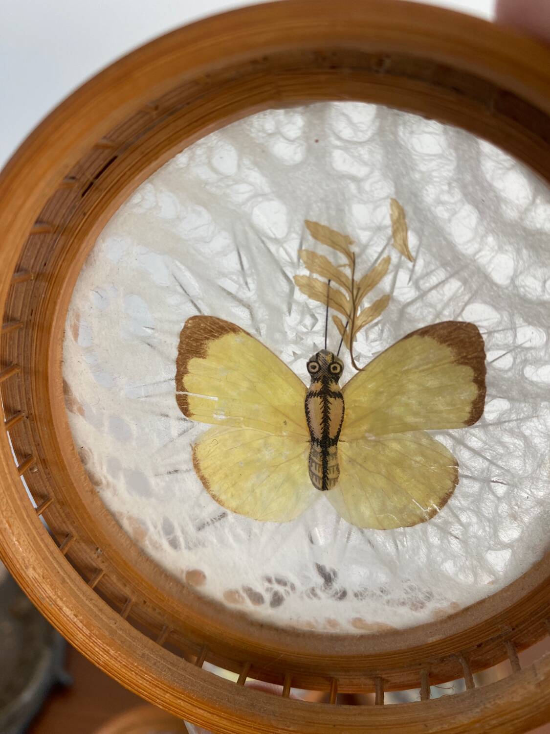 Butterfly coasters, 1970s
