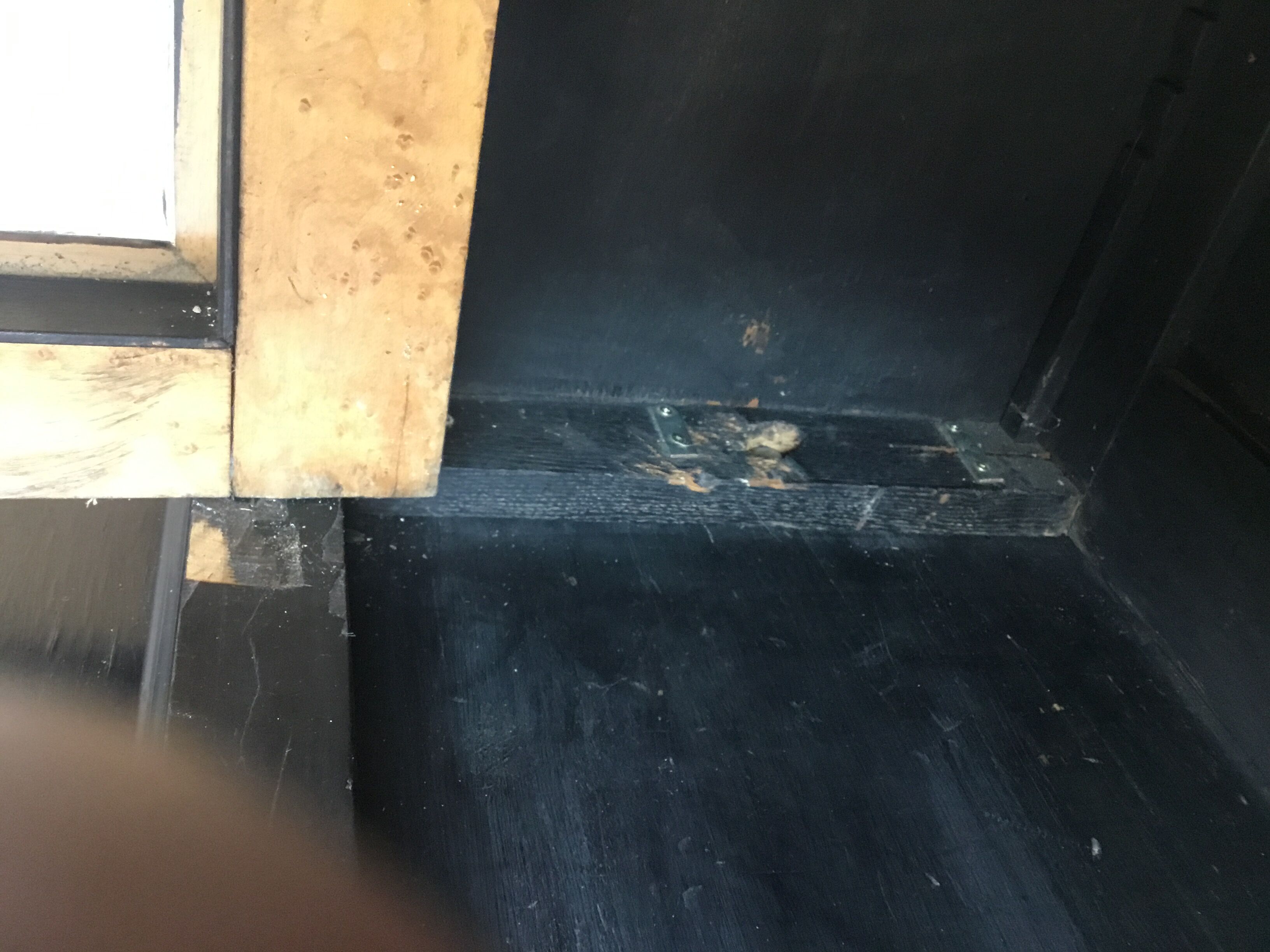 Black glazed sideboard Napoleon III era