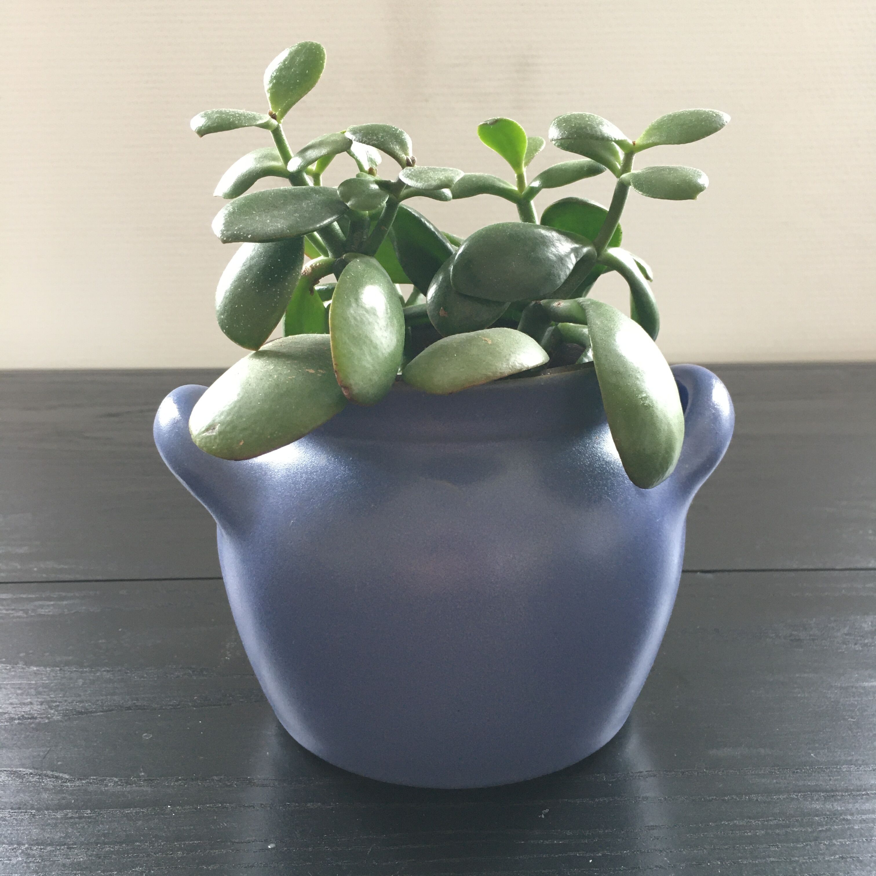 Blue sandstone pot