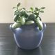 Blue sandstone pot