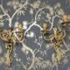 Paire d appliques en bronze 42 x 28