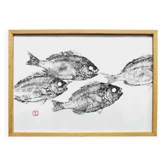 Impression d'art encadrée, "Estampe d'un banc de dorades" (gyotaku)