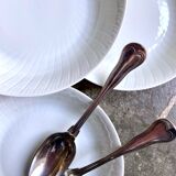 Set of 5 hollow plates in Limoges porcelain