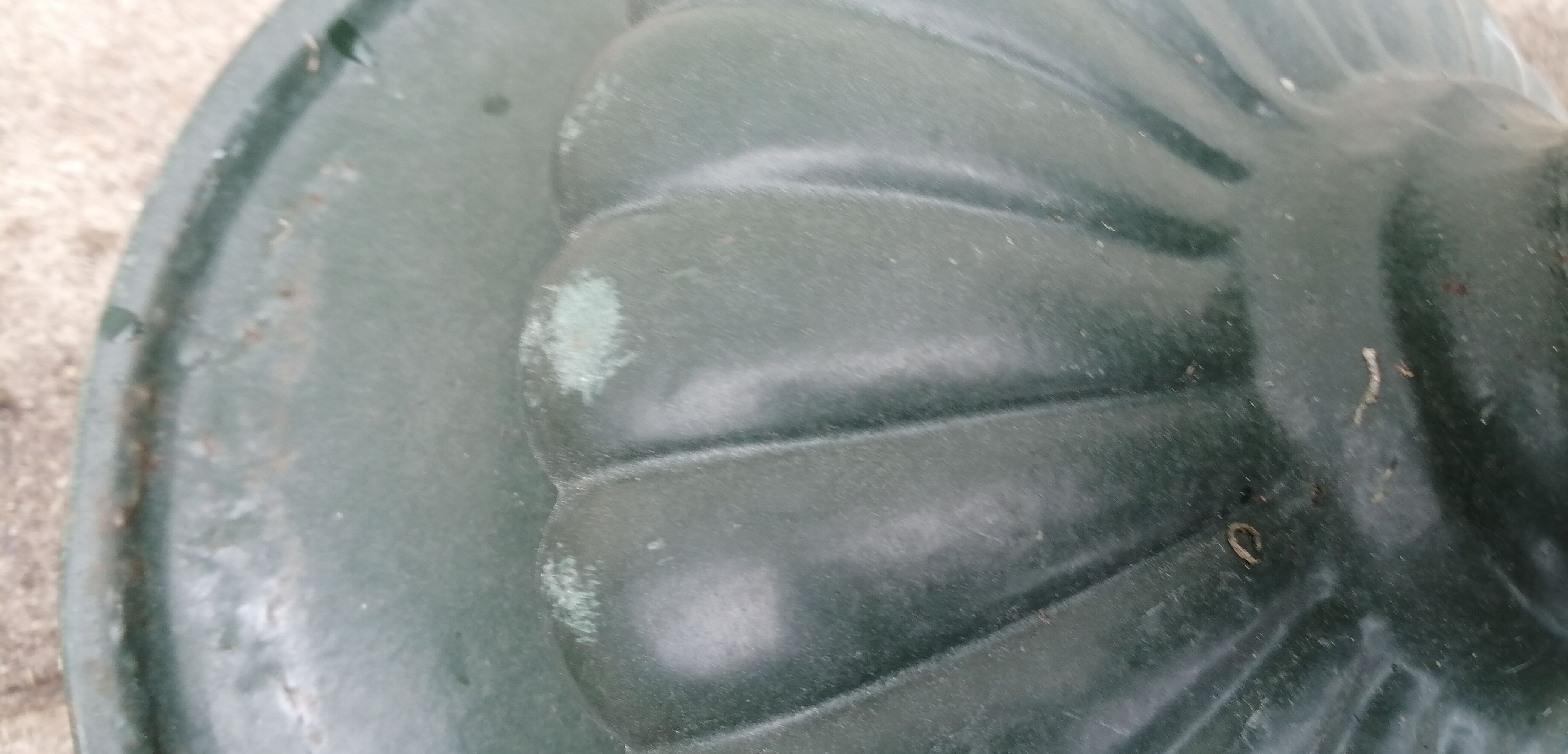 Cast iron medicis vases