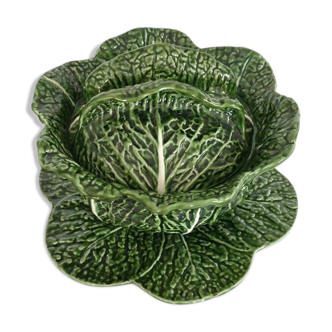 Old soup in dabbling