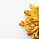 1960's Gilt 'Florentine' Ceiling of wall light by Banci Firenze