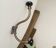 Antique wall coat rack, 19th century Art Nouveau style.